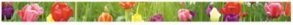 CENEFA CRISTAL 5X75 TULIPS - LCE
